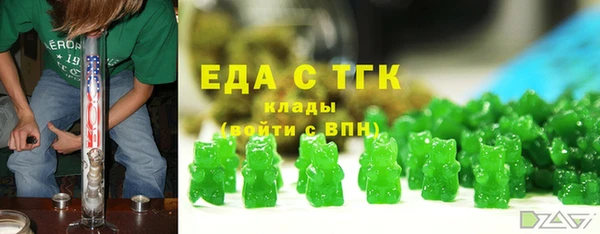 мдпв Бородино