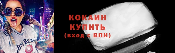 мдпв Бородино
