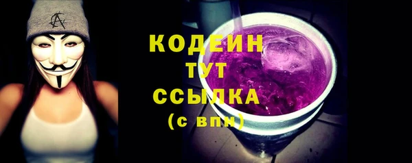 мдпв Бородино