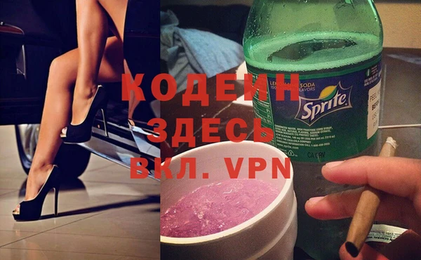 мдпв Бородино